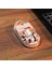 SM-BT29 Glassy Rose Gold Transparan 2in1 Bluetooth ve 2.4ghz Kablosuz Mouse 4