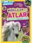 National Geographic Kids Poniler ve Atlar Çıkartmalı Aktivite Kitabı 1