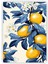 Limon Çiçekleri No: 1 Ahşap Poster 20X29 cm 1