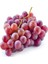 1 Adet Crimson Seedles Çekirdeksiz Üzüm Fidanı Açık Kök 1