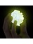 NAT08002 National Geographic Parlayan Kristal Laboratuvarı -Tnggıdcrystal +8 Yaş 3
