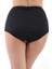 Kadın Büyük Beden Yüksek Bel Toparlayıcı Likralı Kumaş Bikini Altı 3