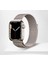 Apple Watch Se Nike Series 1 2 3 4 5 6 7 8 9 38 40 41MM Uyumlu Metal Hasır Örgü Mıknatıslı Milano Loop Kordon 4