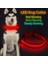 Ed Köpek Tasması, USB Şarj Edilebilir Işıklı Köpek Tasması, Kırmızı L (Yurt Dışından) 1