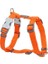Tlp Brands Köpek Tasması Kırmızı Dingo Smooth 30-48 cm Turuncu (Yurt Dışından) 1