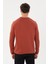 Classics Bisiklet Yaka Basic Triko- T-1001 5