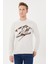 Genç Serisi Regular Fit Triko Kazak -T-5013 3