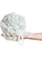 Açık Yeşil Tarzı 60G Büyük Boy 100% Hijyenik Çevre Dostu Pe Yumuşak Banyo Topu Zengin Köpüklü Banyo Süngeri Fırça Banyo Duş Aksesuarları Paketi (Yurt Dışından) 2