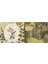 Everbodys Equal / Board Book - Patricia Hegarty 3