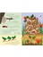 Bees And Beetles / A Flip / Flap Book Of Bugs - Molly Littleboy 3