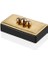 Rollıng Stone Black Gold Box 20*11*8 cm 1