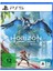 HORİZON FORBIDDEN WEST - PlayStation 5 (PS5) Hesap 1