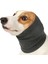 Evcil Köpek Snood Yumuşak Köpek Kapüşonlu Banyo Köpek Boyun Köpek Şapka Gri S (Yurt Dışından) 2