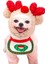Köpek Noel Şapkası (Yurt Dışından) 2