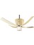 Valhalla Blonde Beech - 142 Cm. Aydınlatmalı ve Uzaktan Kumandalı Tavan Vantilatörü 1