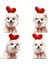 Küçük ve Orta Ölçülü Köpek Gündüz ve Kış Noel Kuzey (Yurt Dışından) 2