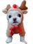 Küçük ve Orta Boy Köpekler Için Sonbahar ve Kışlık Sweatshirtler (Yurt Dışından) 1
