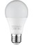 Premıer-9 9 Watt E27 8400K Beyaz LED Ampul 1
