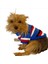 Tommy Colours Oval Yaka Tişört Köpek Kıyafeti Köpek Elbisesi 3