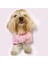 Nature Pink Oval Yaka Tişört Köpek Kıyafeti 2
