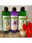 Botanics Herbal Mix Şampuan 2 Adet +Mine Çiçeği Duş Jeli 1 Adet ( 3lü Set) 1