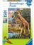 Ravensburger 150P Puzzle Zürafalar, Çok Renkli 1