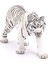 Wild Life Beyaz Kaplan 3