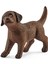Farm World Yavru Labrador Retriever 1