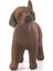Farm World Yavru Labrador Retriever 2