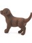 Farm World Yavru Labrador Retriever 3