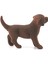 Farm World Yavru Labrador Retriever 4