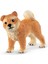 42479 Shiba Inu Oyuncak Figürü, Çok Renkli 4