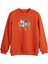 Hued Sweatshirt 24.06.12.005-C38 1