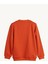 Hued Sweatshirt 24.06.12.005-C38 2