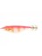 Toto Sutte M95 R WM95N # F/lp 1