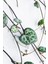 Ceropegia Woodii - Kalp Kalbe Karşı - Ev Ofis Salon Iç Mekan Bitkisi - 40 cm 2