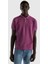 Erkek Regular Fit Polo T-Shirt 1