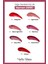 Matte Shine Lipstick 2