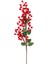 Kokina Dal 72CM 1
