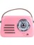 FB-R303-PK Retro Radyo ve Bluetooth Hoparlör 1