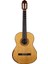 Vega Natural Klasik Gitar 1
