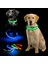 Sarı Stil Xs Beden Evcil Hayvan Malzemeleri LED Evcil Köpek Kedi Tasma, Gece Güvenlik Işıldayan Kedi Tasma, Küçük Köpekler Parlak Ayarlanabilir Tasma (Yurt Dışından) 3