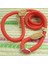 Kırmızı Stil 0.8CMX150CM Kayışlı Köpek Tasma Yürüyüş Kayışı Naylon Kayış Büyük Köpek Dağcılık Halatı Çekiş Küçük Orta Büyük Köpekler Için (Yurt Dışından) 1