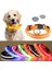 Kırmızı Düğme Pil Stili M Boyun 40-48CM Küçük Orta Boy Köpekler Için Yansıtıcı Köpek Tasması - Kaybolmayı Önleyici Gece Güvenlik Tasması (Yurt Dışından) 2