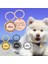 Mor Tarzı 30 mm Kaybolmayan Evcil Hayvan Kedi Köpek Adı Etiketleri Ücretsiz Kazıma Adres Etiketleri Köpek Yavrusu Aksesuarları Özelleştirilebilir Kedi Kolye Kimlik Plakası (Yurt Dışından) 2