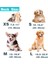 Kırmızı Yakalı Stil S Beden Köpek Etiketi Tasma Kişiselleştirilmiş Özel Naylon Tasma Kazınmış Isim Kimlik Etiketleri Tasma Ayarlanabilir Orta Boy Pet Yavru Kedi Büyük Köpekler Için (Yurt Dışından) 3