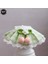 Pembe Tarzı M-25-30CM Sevimli Dantel Köpek Tasma Kedi Tasma Fiyonk Pet Tasma Yaka Bibs Sevimli Köpek Kedi Kolye Dekor Küçük Köpekler Kediler Için Damalı Çiçekler Tasma (Yurt Dışından) 2