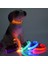 Yeşil Stil M Beden Leopar LED Köpek Tasma Aydınlatmalı Ayarlanabilir Parlayan Tasma Köpekler Için Evcil Hayvan Gece Güvenlik Naylon Tasma Aydınlatmalı LED Parlak Köpek Tasma (Yurt Dışından) 2
