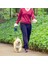 Bir Stil 3m Dayanıklı Tasma Otomatik Geri Çekilebilir Naylon Köpek Tasma Uzatma Yavru Yürüyüş Koşu Tasma Rulet Köpekler Için (Yurt Dışından) 3