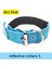 Yansıtıcı Yaka 5 Tarzı S Beden Evcil Hayvan Yansıtıcı Güvenlik Tasmaları Naylon Köpek Tasma Küçük Orta Büyük Köpekler Için Teddy Keji Pitbull Bulldog Beagle (Yurt Dışından) 1